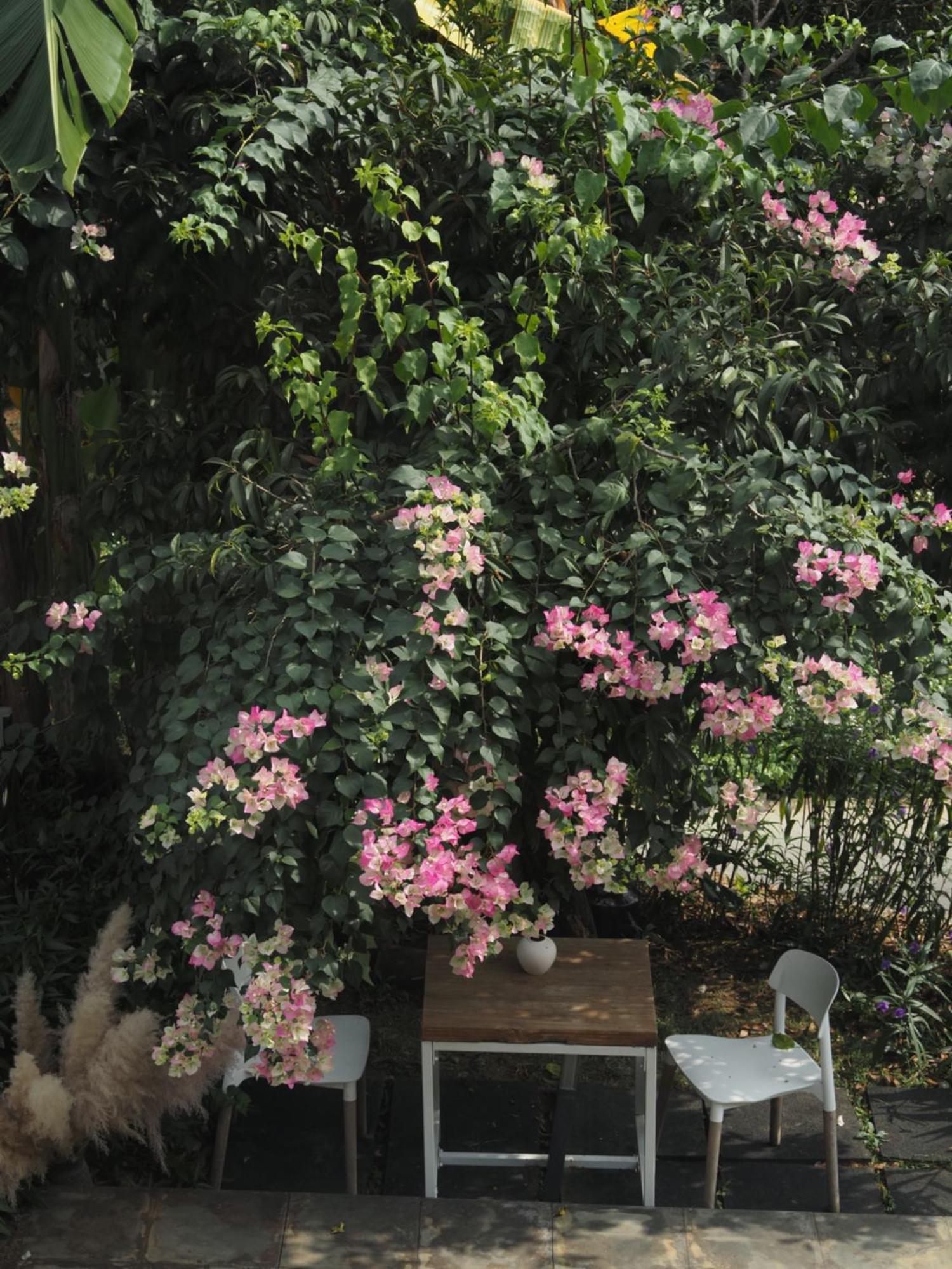 Yangshuo Hillside Homestay 외부 사진