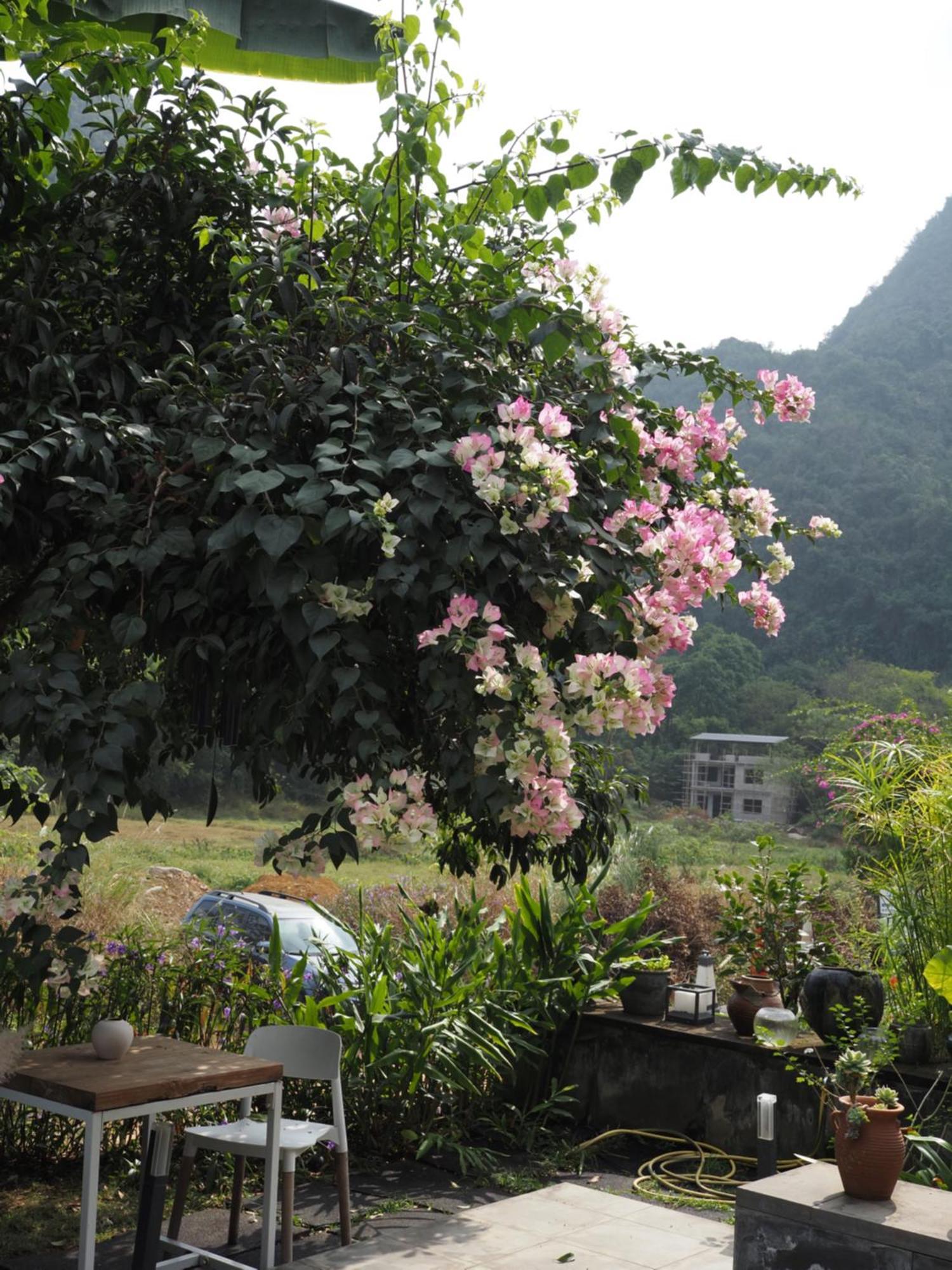 Yangshuo Hillside Homestay 외부 사진