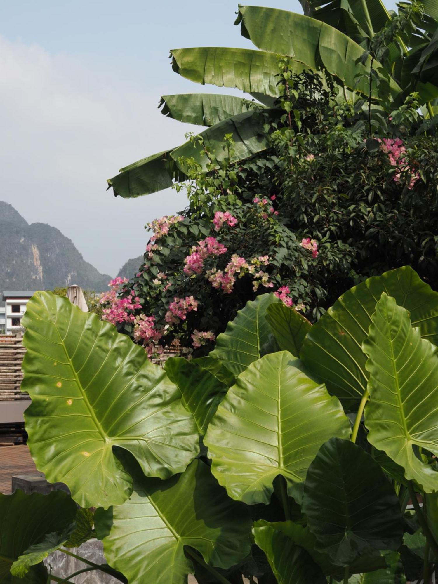 Yangshuo Hillside Homestay 외부 사진