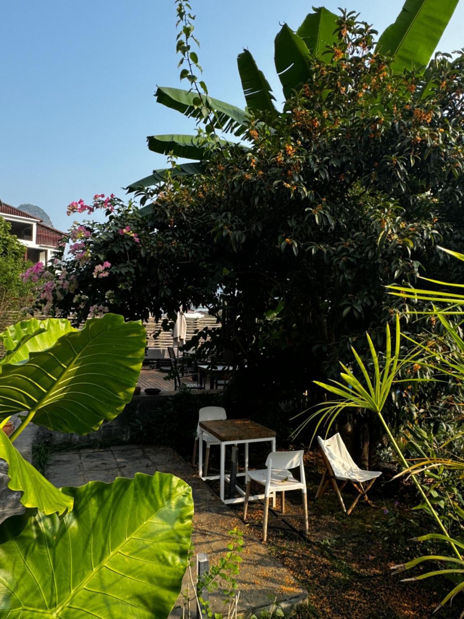 Yangshuo Hillside Homestay 외부 사진