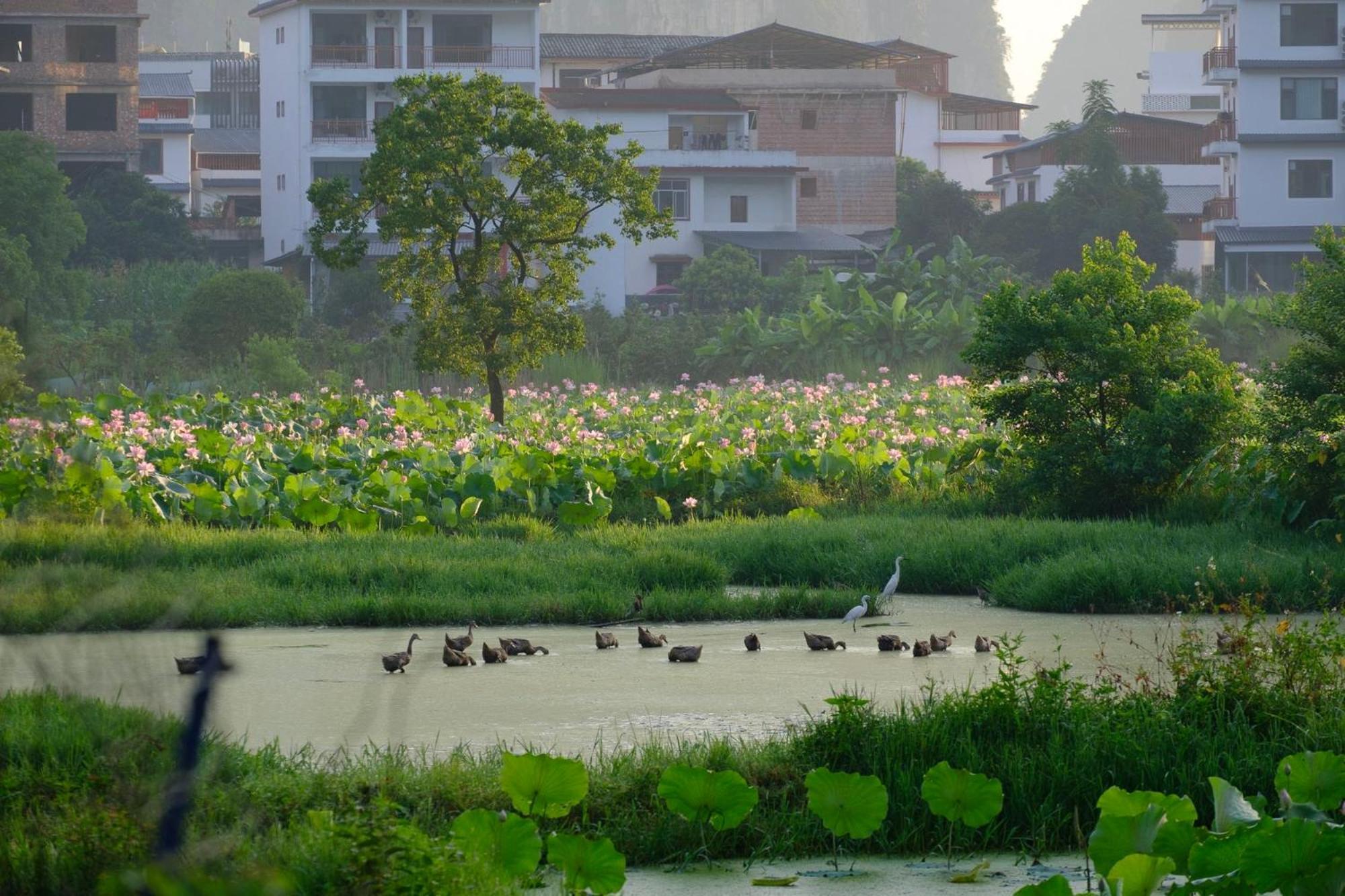 Yangshuo Hillside Homestay 외부 사진