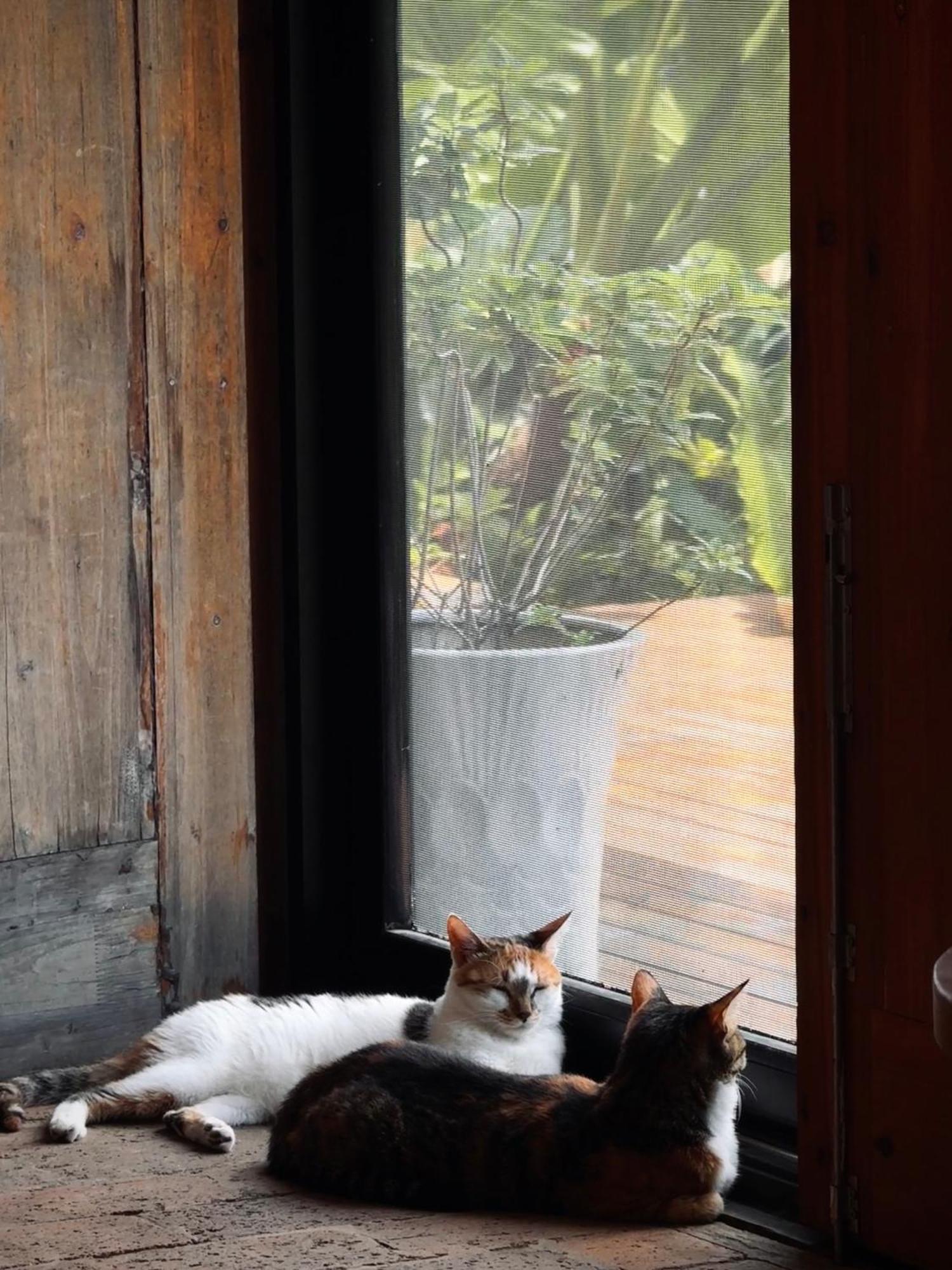 Yangshuo Hillside Homestay 외부 사진