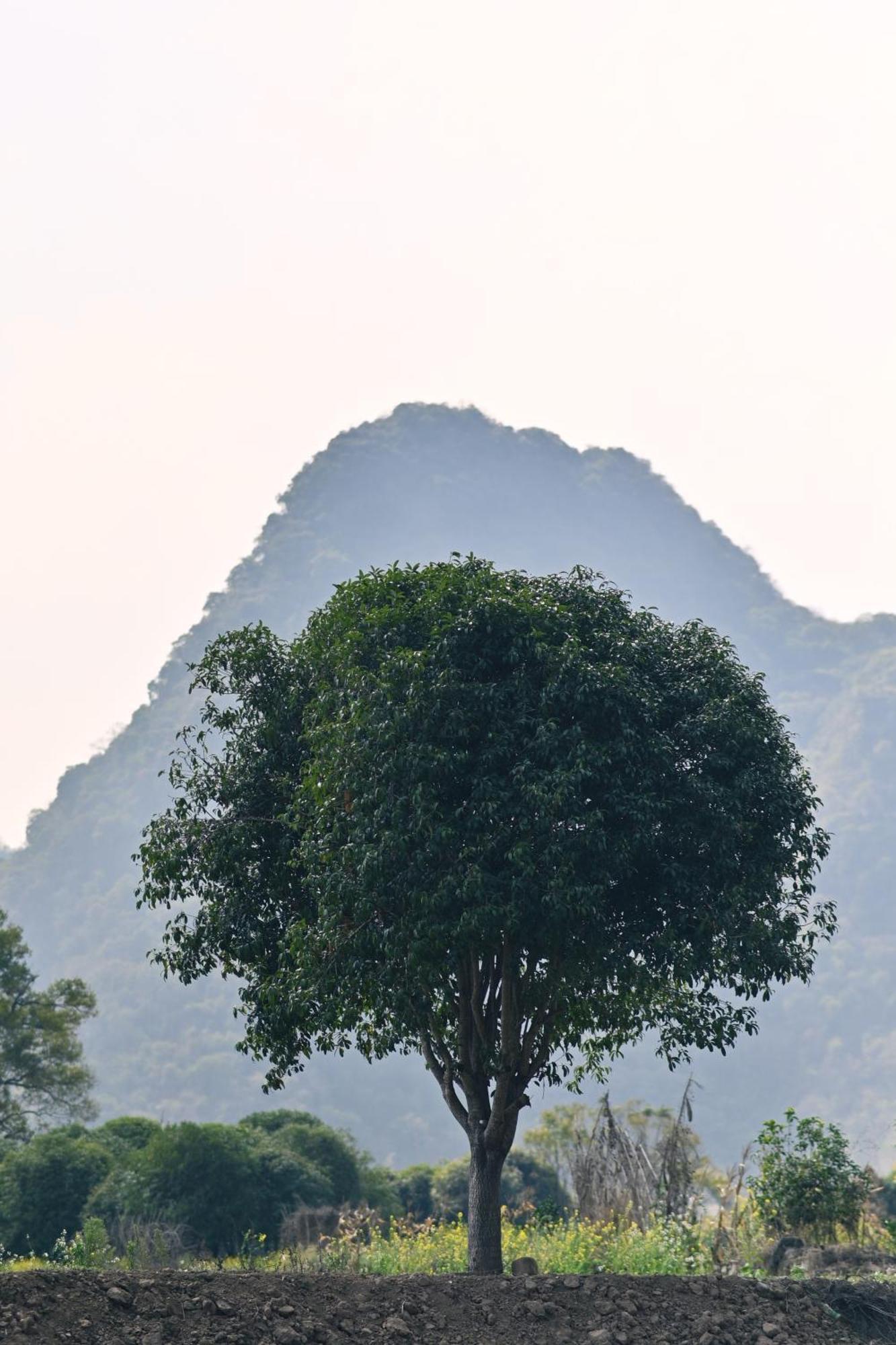 Yangshuo Hillside Homestay 외부 사진
