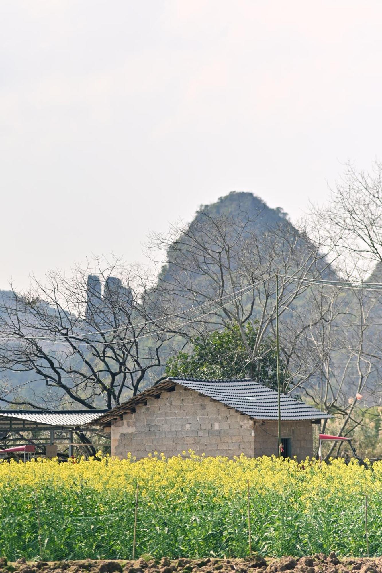 Yangshuo Hillside Homestay 외부 사진